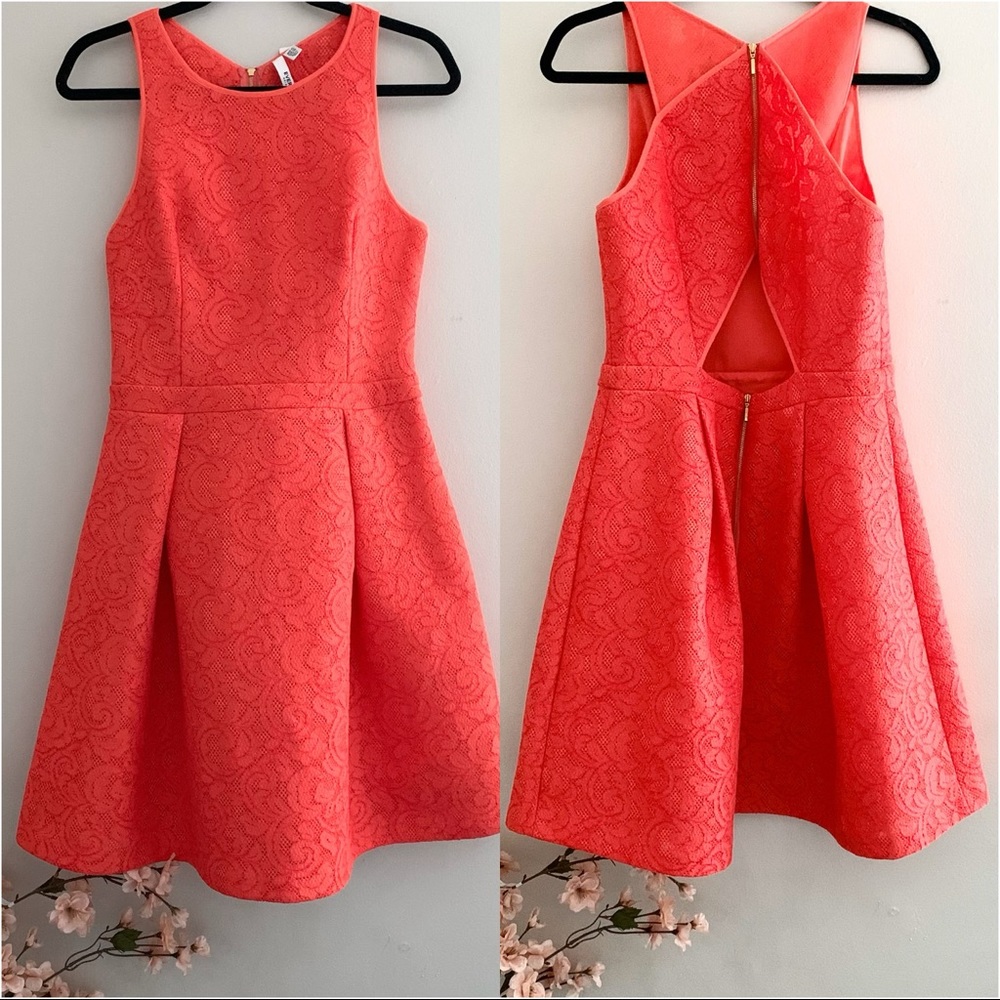Evernew lace coral fit & flare dress back cut out